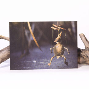 Cartes postale * Sur la glace…