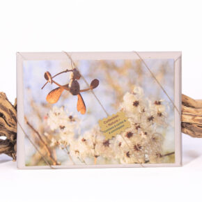 Coffret Collection Nature