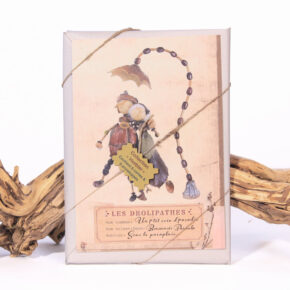 Coffret Collection Herbier